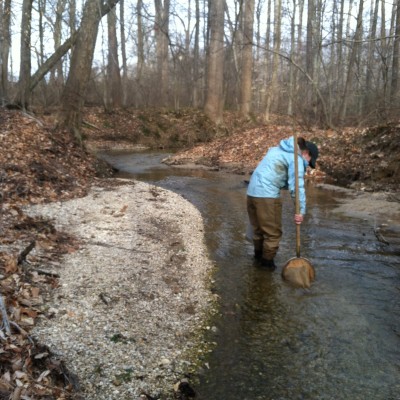 Biological water sampling in Prince George's County