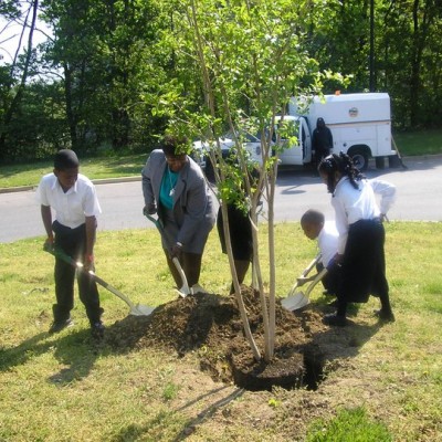 Community tree planting in Prince George’s County